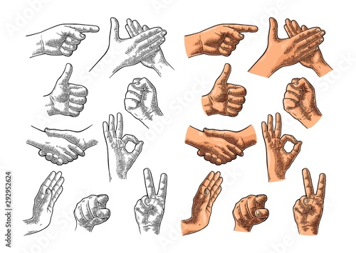 Male Hand sign. Like, Handshake, Ok, Stop, Middle finger, Victory