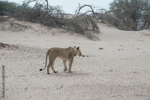 Namibia photo