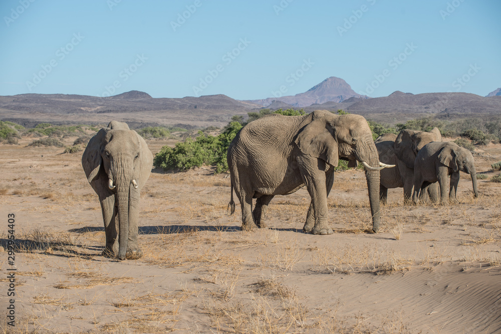 Obraz premium Namibia