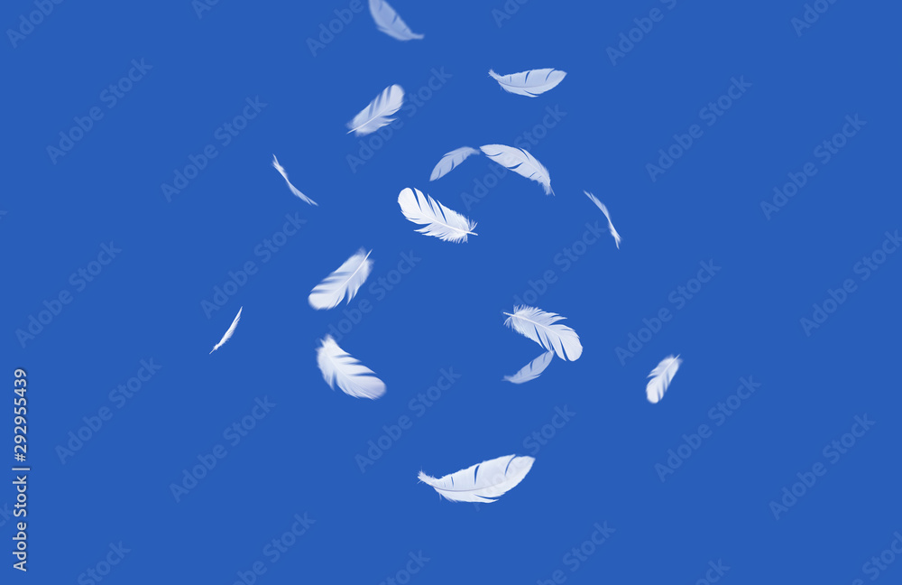 abstract, white feathers floating in the air, isolated on a blue background abstract, white feathers floating in the air, isolated on a blue background