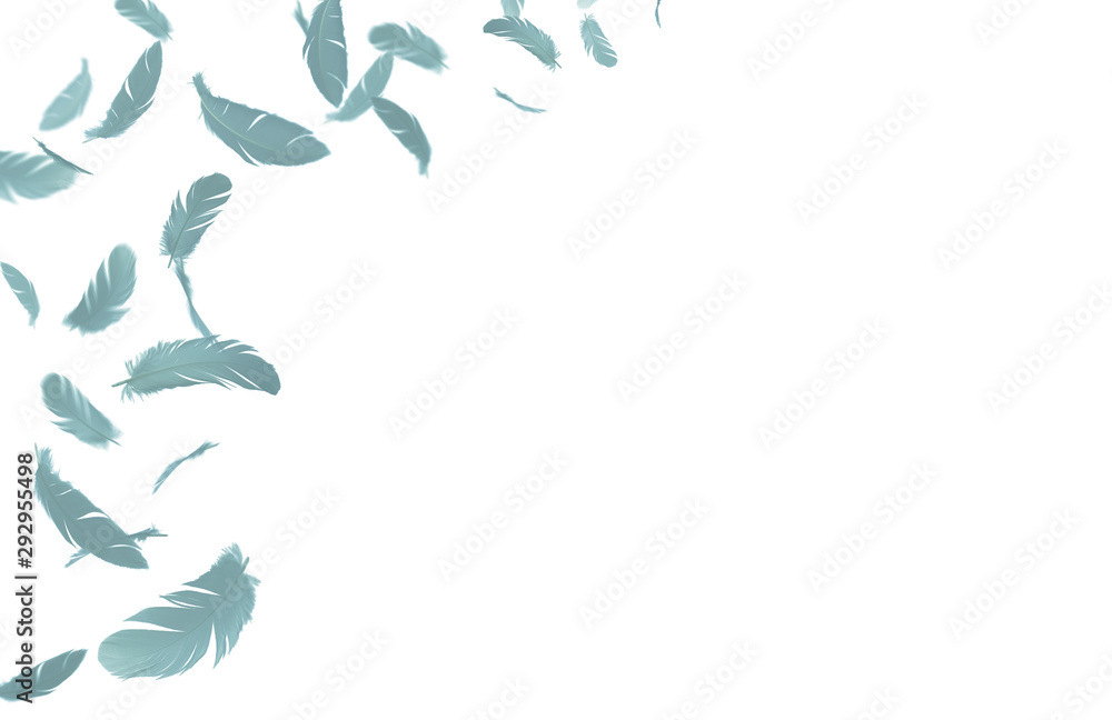 Green feathers floating in the air, isolated on white background with copy space Green feathers floating in the air, isolated on white background with copy space