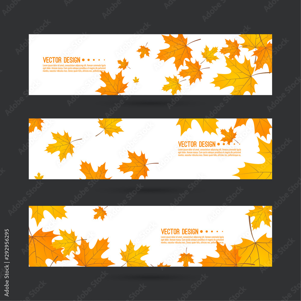 Set of abstract autumn header with yellow leaves of maple. Vector horizontal footer with withered foliage.