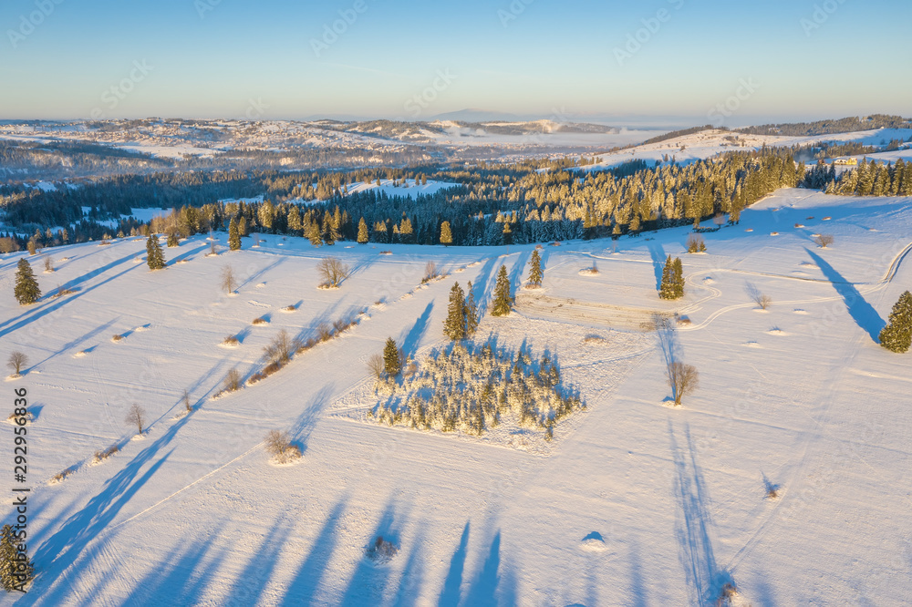 Winter nature aerial view. Snowy meadow with pine trees from above. Frosty landscape of countryside