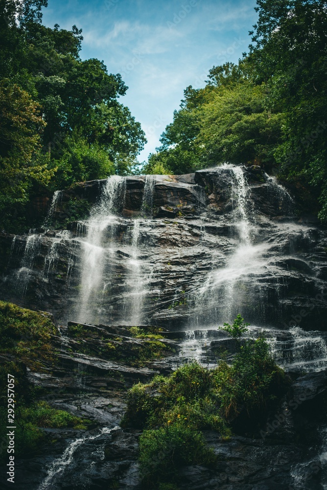 waterfall in forest