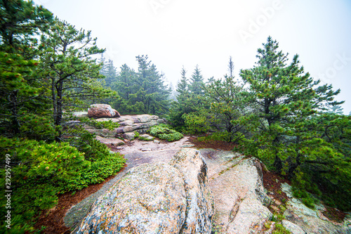 Hiking path along granite rocks at Acadia National Park, Maine
