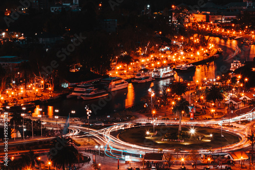 Tigre desde las alturas 39