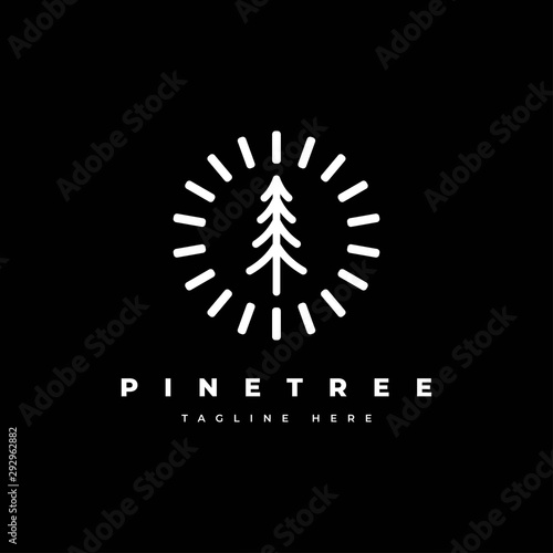 Pine tree logo design template.Abstract tree icon