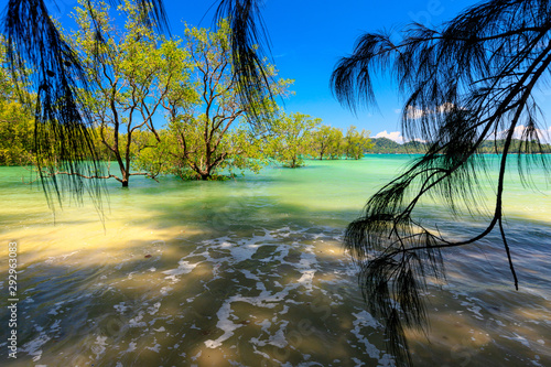 Idyllic tropical beach