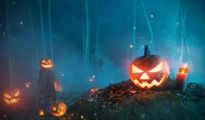 Spooky halloween pumpkins in forest