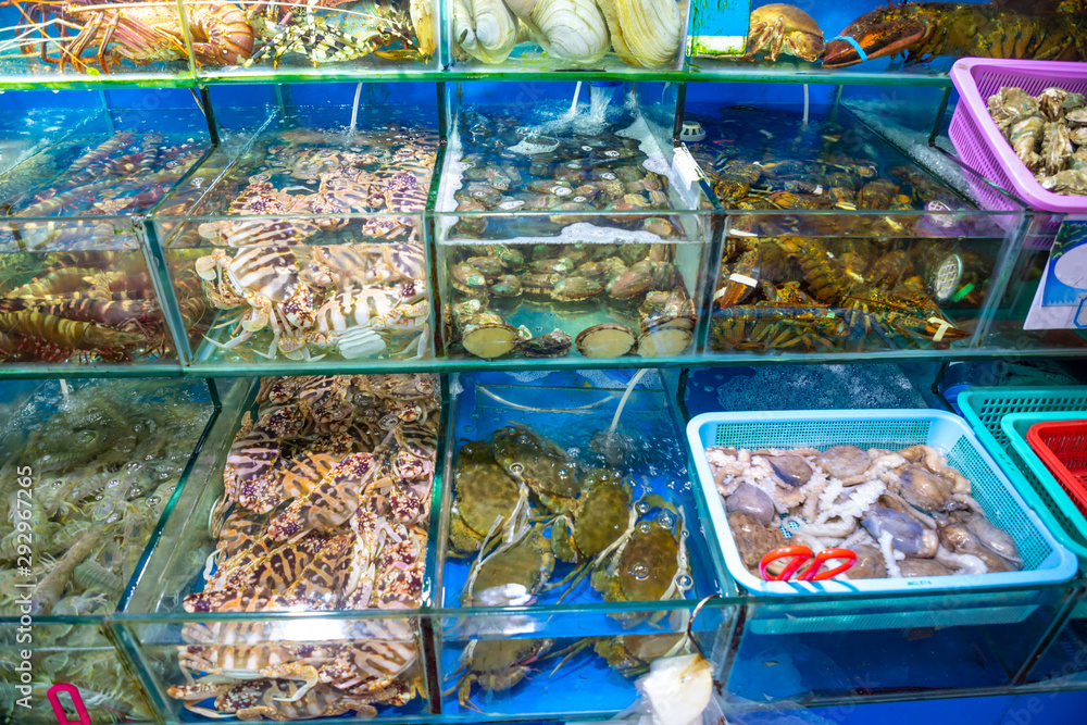 Different kinds of raw fresh seafood in water tanks at an asian seafood market in Sanya, Hainan, China Different kinds of raw fresh seafood in water tanks at an asian seafood market in Sanya, Hainan, China
