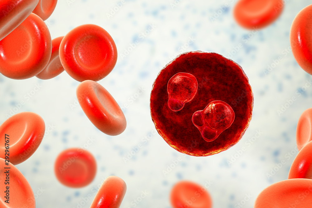 The malaria-infected red blood cells. 3D illustration showing ring-form ...