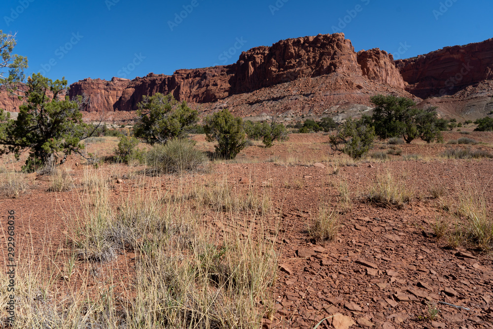 USA Capitol Reef National Park USA Capitol Reef National Park