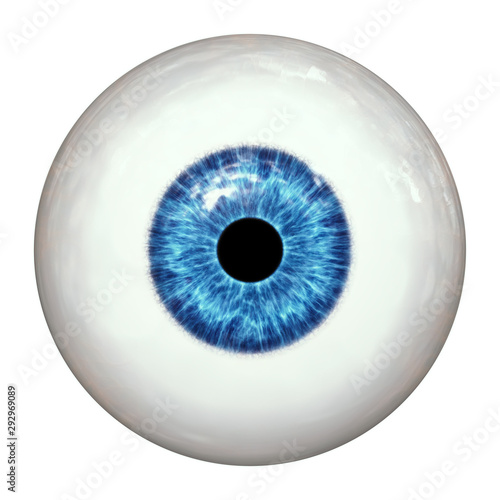 blue human eye ball photo