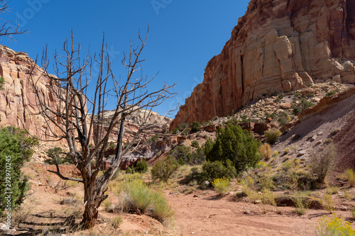 USA Capitol Reef National Park 