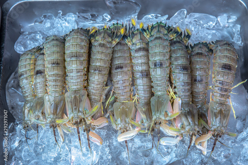 Thailand, Shrimp - Seafood, Freshness, Ice, Agriculture