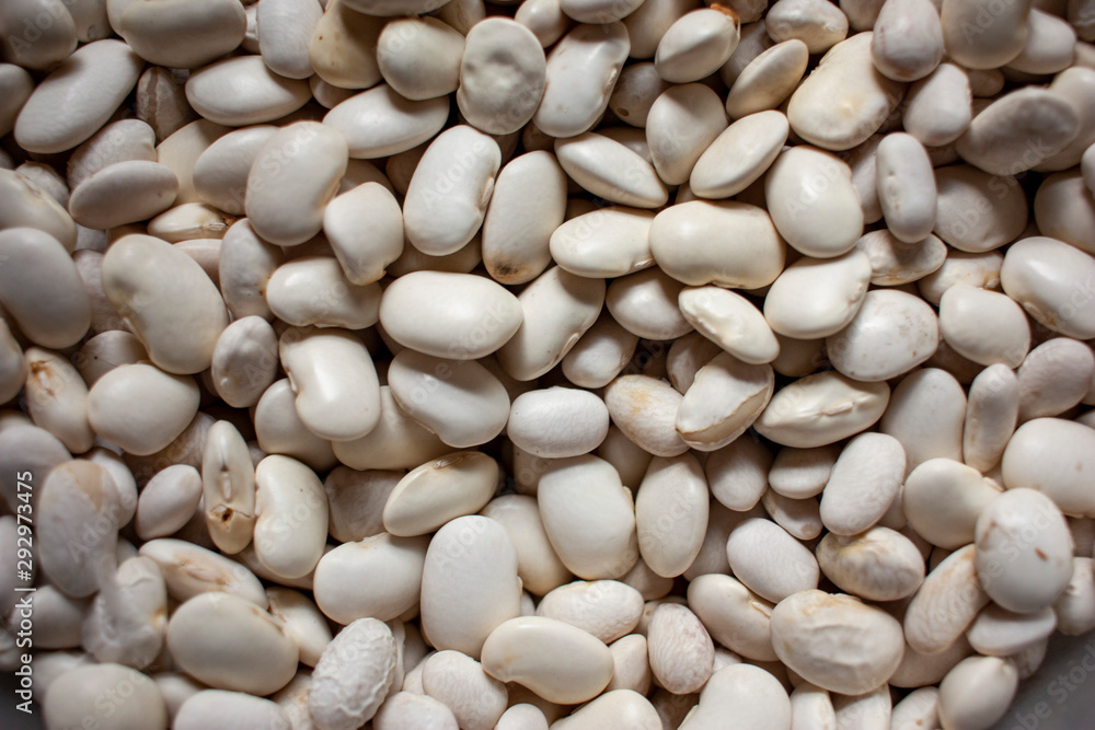 Closeup texture of a bunch of dried white beans Closeup texture of a bunch of dried white beans