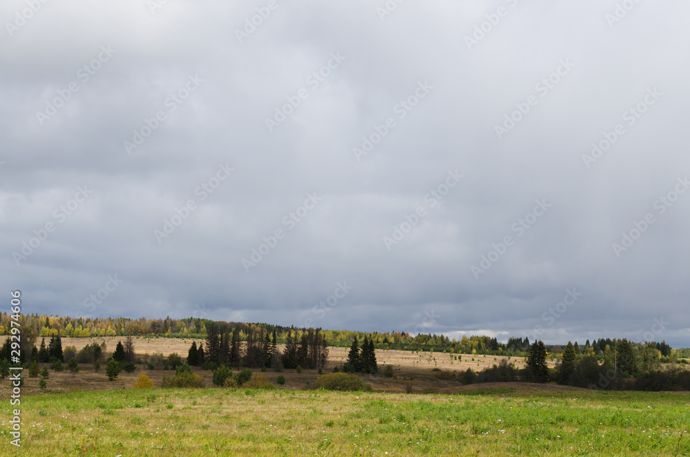 Meadow grass and cloudy sky in early autumn