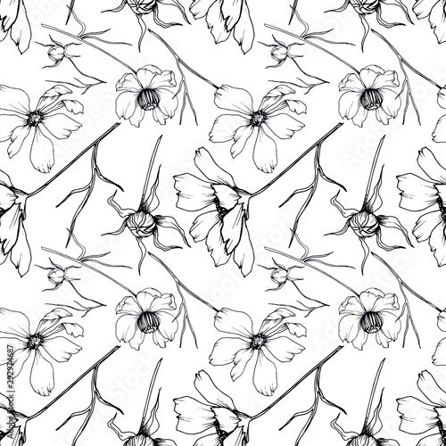 Vector Cosmos floral botanical flowers. Black and white engraved ink art. Seamless background pattern.