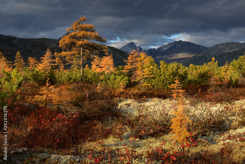 Autumn in the mountains, Dawn on lake Jack London, Kolyma, Magadan region, Russia