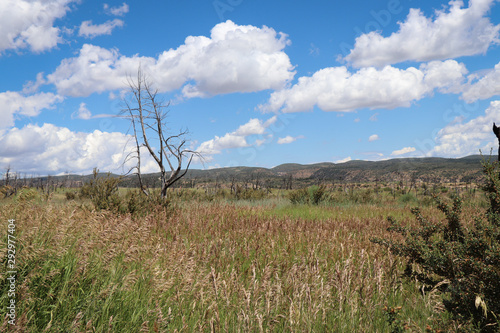 Wetherill Mesa view at Mesa Verde National Park photo