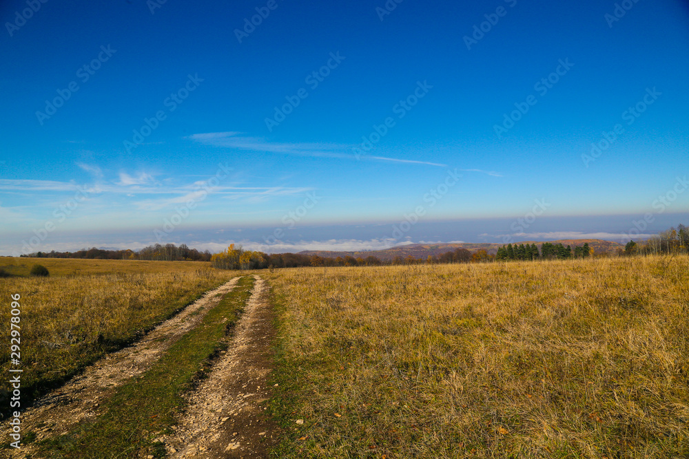 Obraz premium wiejska droga w polu