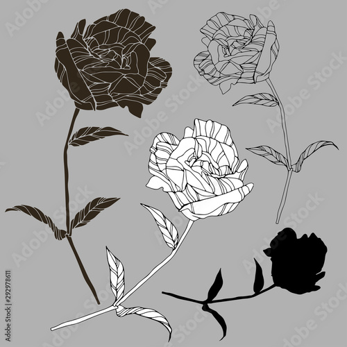 Set with vector botanical illustrations. Design in black and white style. Elements isolated on background. Can be used for printing on paper, stickers, badges, jewelry, postcards, textiles, tattoos.