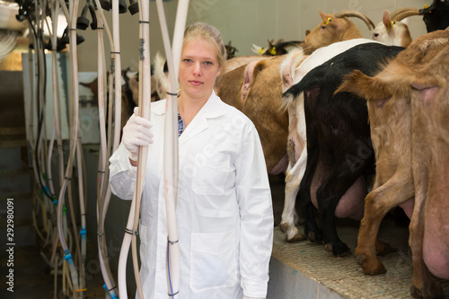 Dairy-woman working on goats farm