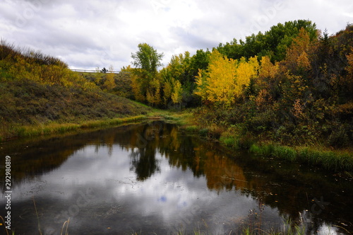 lake in autumn forest