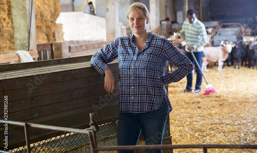 Two employees working in livestock barn