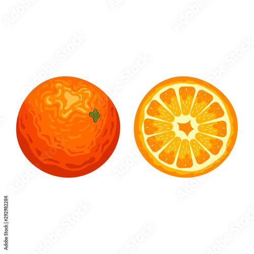 Delicious orange fruit vector design illustration isolated on white 