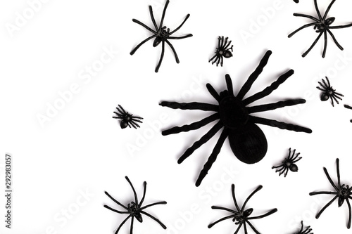 Halloween postcard.   raditional festival of autumn. Decoration and party concept .Spiders Isolated on a white background.Flat lay  top view  copy space