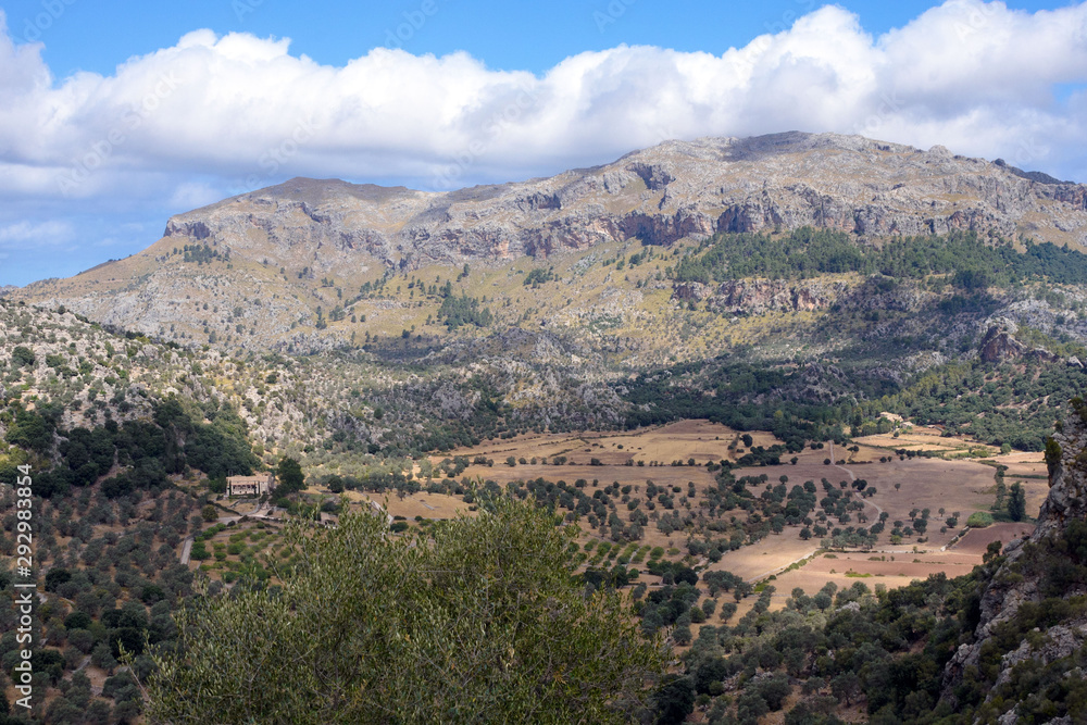 Valley and olive groves on the slopes of the Sierra de Tramontana mountain range near the Monastery of Santuario de Santa Maria de Luch. Majorca. Balearic Islands.