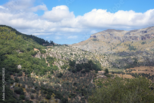 Valley and olive groves on the slopes of the Sierra de Tramontana mountain range near the Monastery of Santuario de Santa Maria de Luch. Majorca. Balearic Islands.