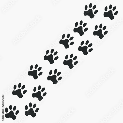 Animal trail footpath Dog o...