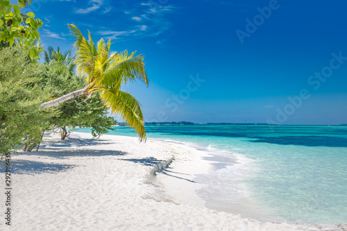 Fototapeta Naklejka Na Ścianę i Meble -  Exotic beach landscape. Paradise beach view, palms and blue sea. Bright nature scenery, white sand, blue sky