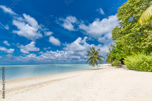 Exotic beach landscape. Paradise beach view, palms and blue sea. Bright nature scenery, white sand, blue sky