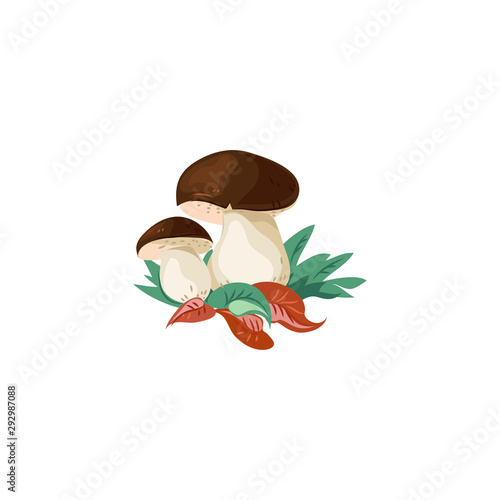 Porcini mushroom vector illustration in flat cartoon style