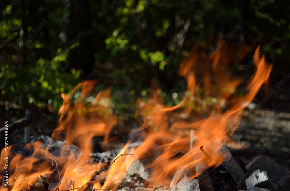 Bonfire, coal and stones in the forest.