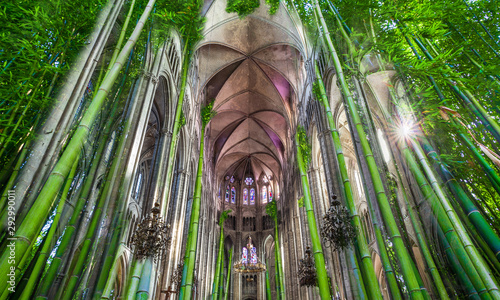 Bamboo cathedral concept  choir of the nature
