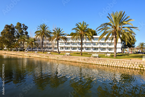 Palm trees growing along a canal in the city of Alcudia on Mallorca  Spain