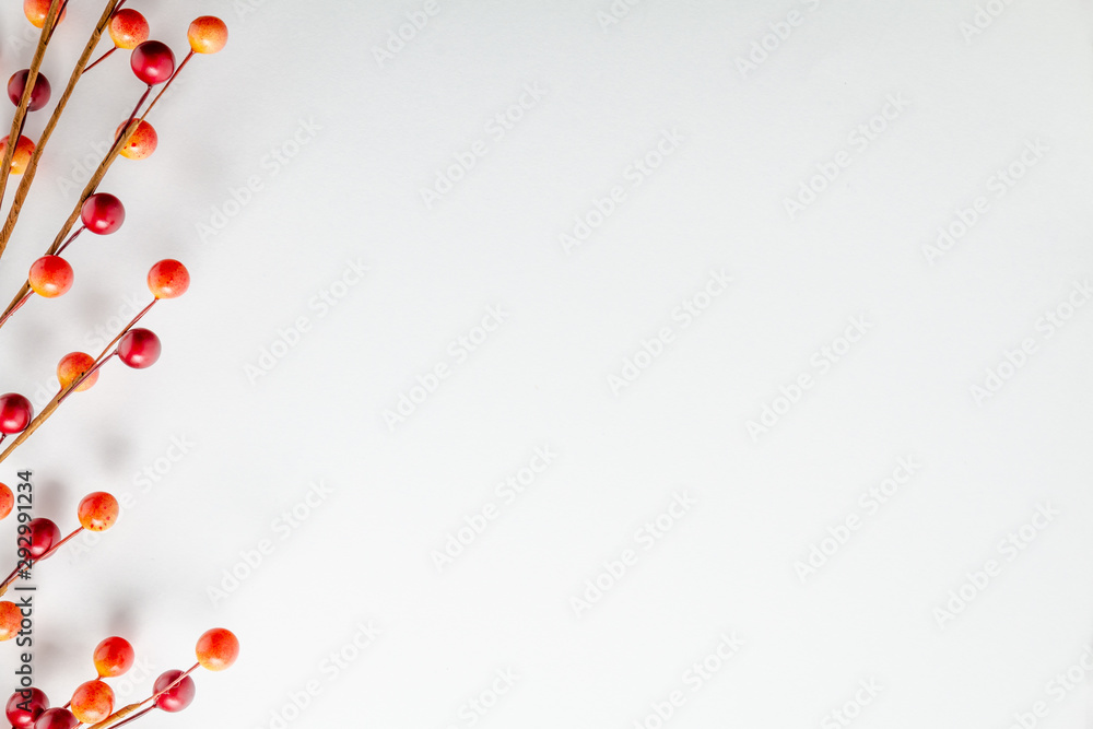 Autumn Berries border on a white background Autumn Berries border on a white background