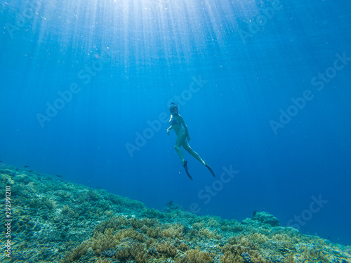 Girl freediving in clear sea  Southeast Asia