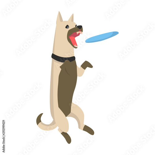 Dog jumping and catching blue frisbee. Open mouth.