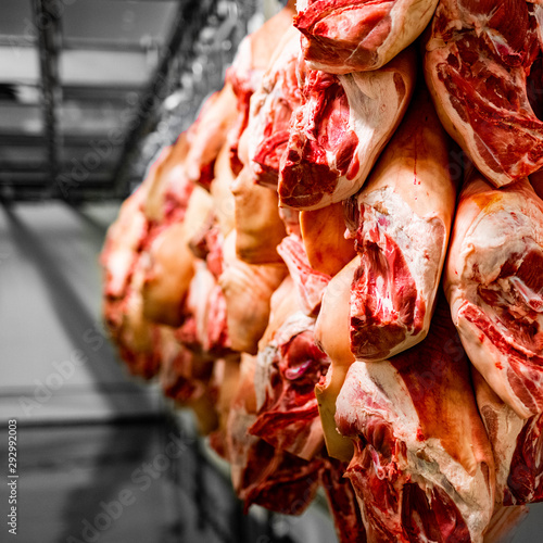 meat processing - slaughter - cold store