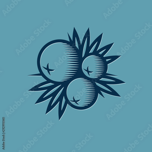 Juniper berries with leaves and thorns illustration. Blackthorn berries. Decorative composition.