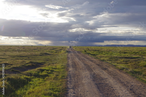 road in the National Park in Kenya