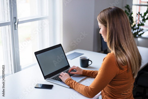 Young millennial working on laptop standing at the desk by the window