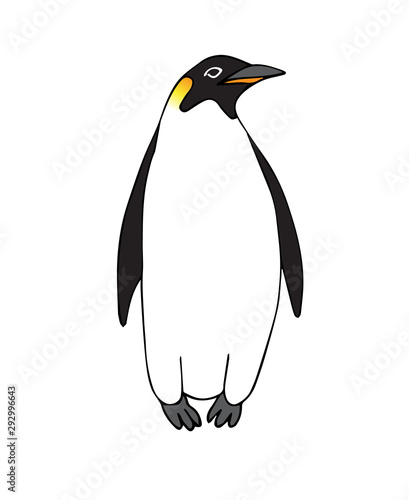 Vector hand drawn doodle sketch emperor penguin isolated on white background