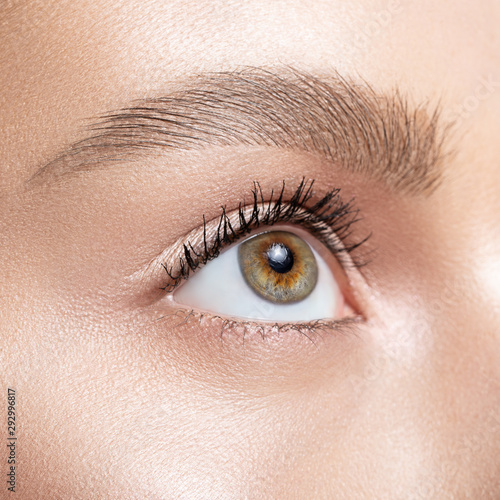 Fototapeta Naklejka Na Ścianę i Meble -  Female eye close-up. Macro. Perfect makeup and eyebrows. Beautiful green-brown eyes