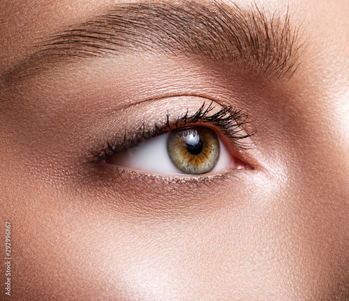 Fototapeta Naklejka Na Ścianę i Meble -  Female eye close-up. Macro. Perfect makeup and eyebrows. Beautiful green-brown eyes